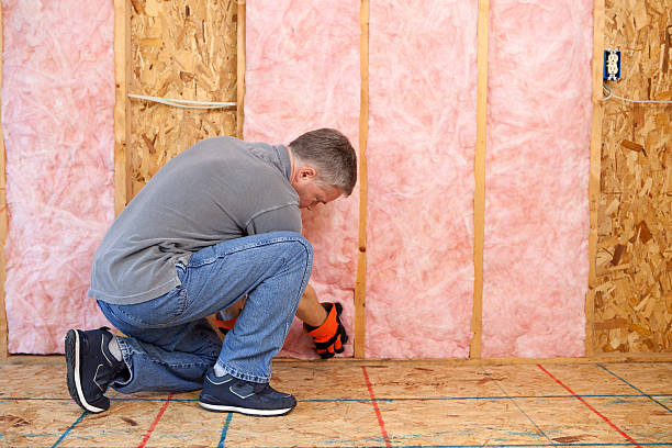 Best Eco-Friendly Insulation in North Pole, AK